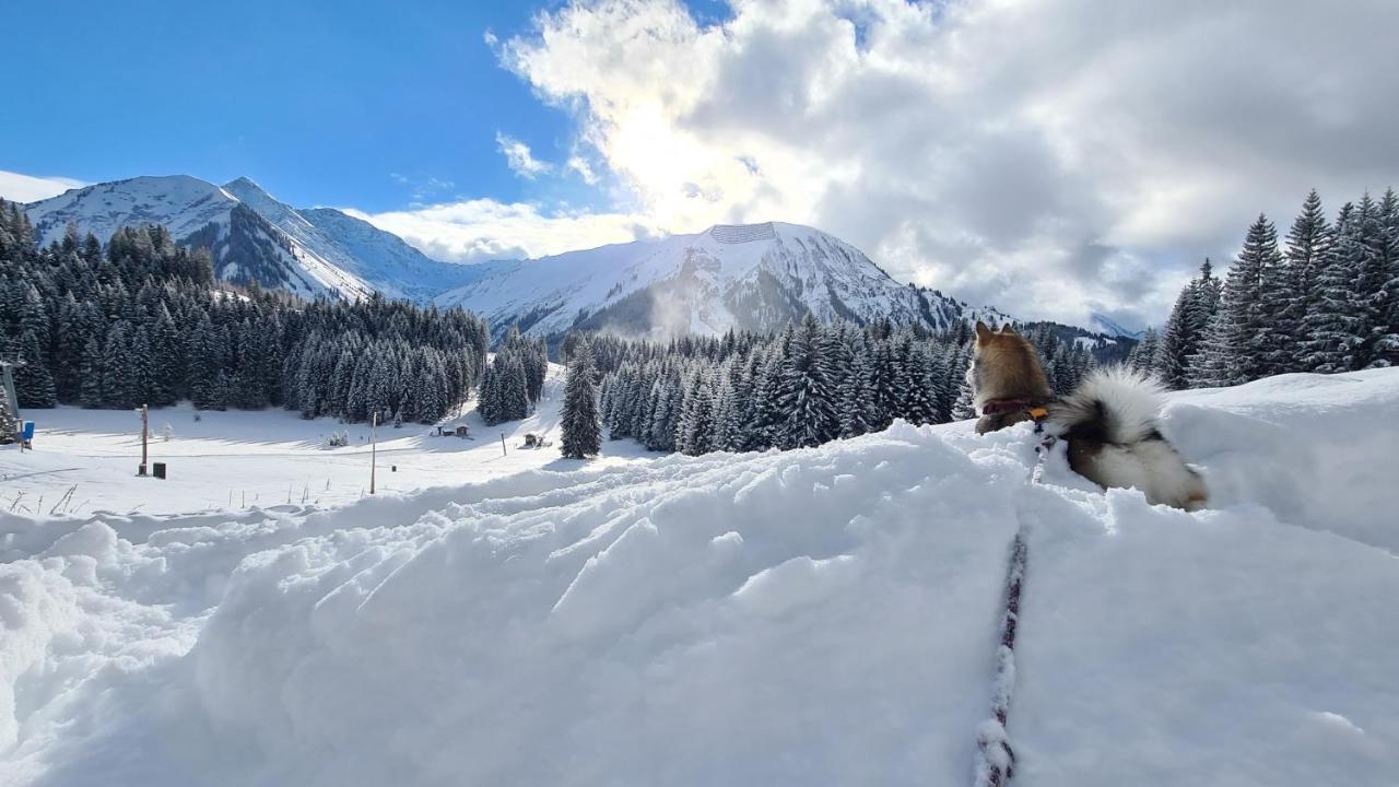 Appartement Egghof Berwang Bagian luar foto